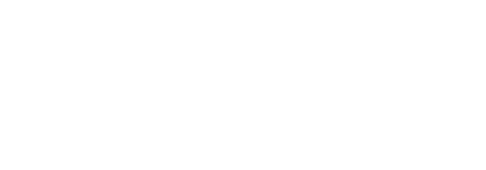 VidyaKoshAI Logo